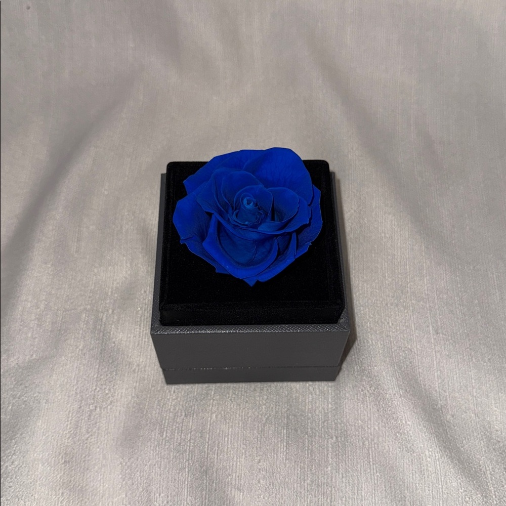 Forever Rose Blue in Display Box “I Love You” Necklace